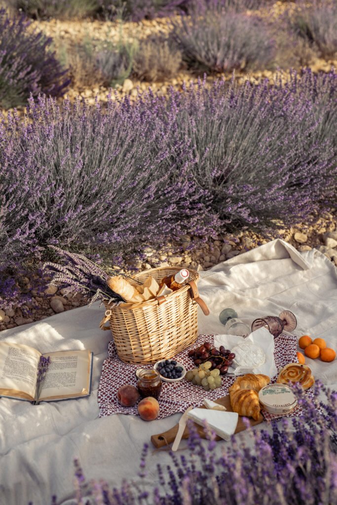 lavender field
